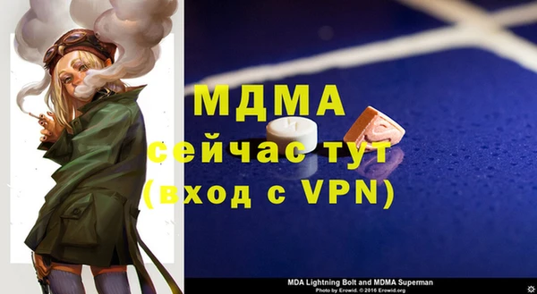 индика Беломорск