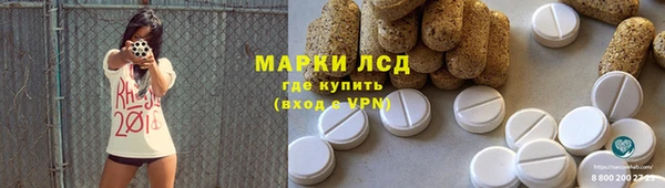 индика Беломорск