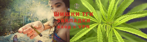 индика Беломорск