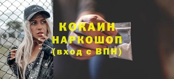 индика Беломорск