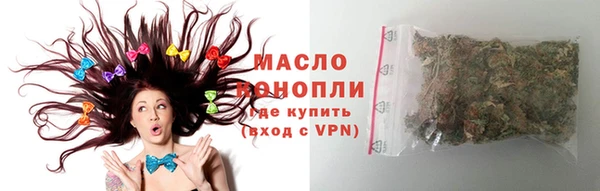 индика Беломорск