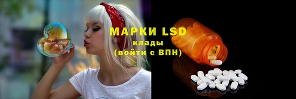 индика Беломорск