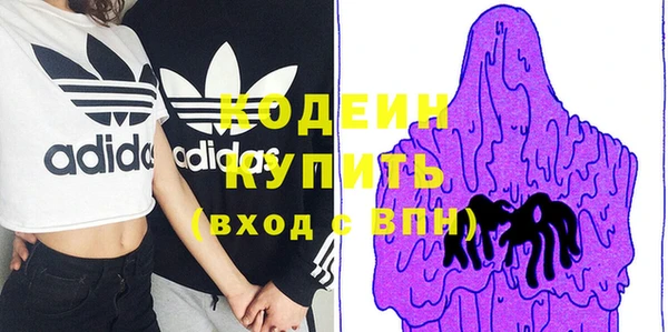индика Беломорск