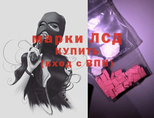 индика Беломорск