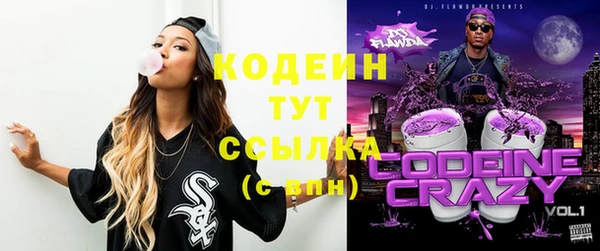 индика Беломорск