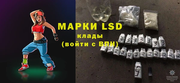 индика Беломорск