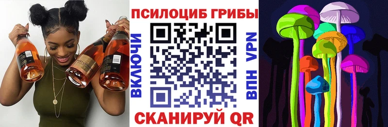 купить закладку Краснообск Псилоцибиновые грибы Psilocybine cubensis